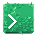 ptyxis terminal